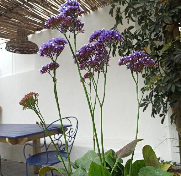 פנסיון Surf & Kite   Villa Nortada