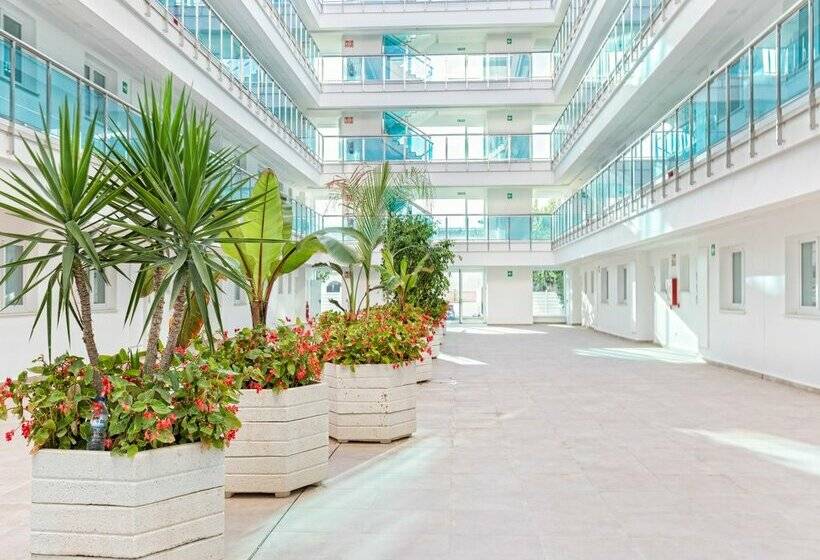 Alcossebre Sea Experience