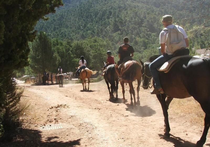 Apartamentos Rurales Campillo