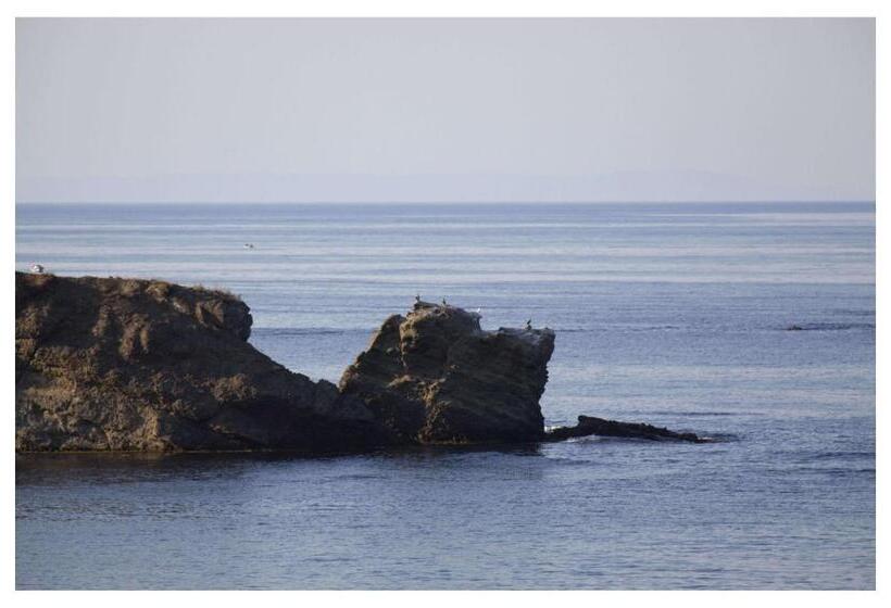 Aparthotel Regina Mare