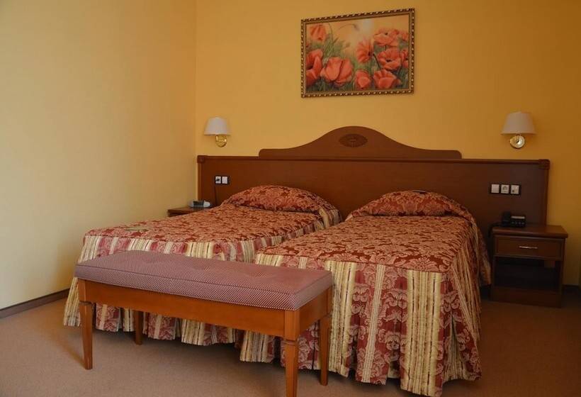 فندق Aurora Premier