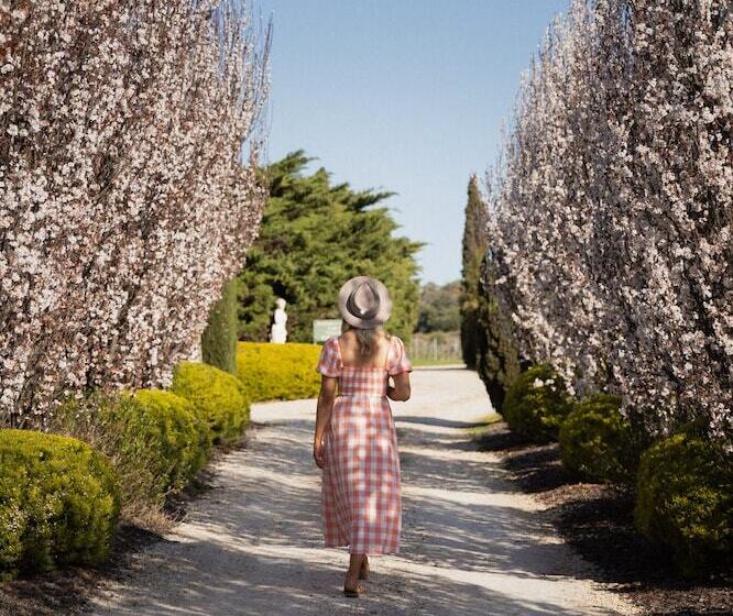 酒店 Barossa Shiraz Estate