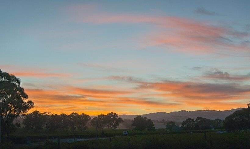 酒店 Barossa Shiraz Estate