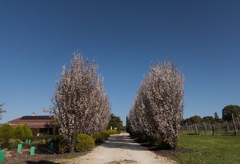 酒店 Barossa Shiraz Estate