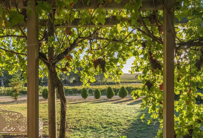 酒店 Barossa Shiraz Estate