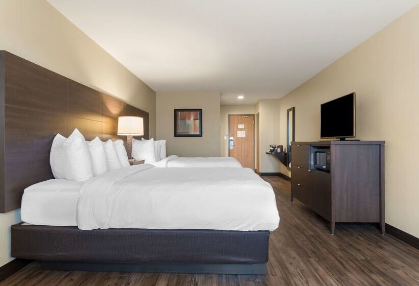 Best Western Plus Saint John Hotel & Suites