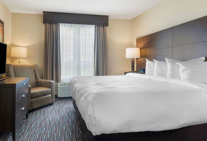 Best Western Plus Saint John Hotel & Suites