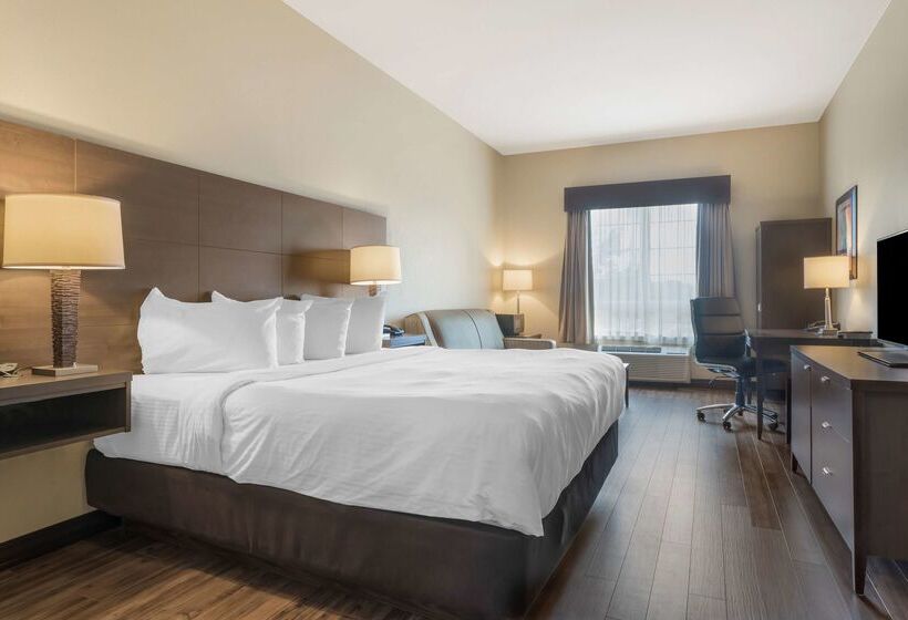 Best Western Plus Saint John Hotel & Suites