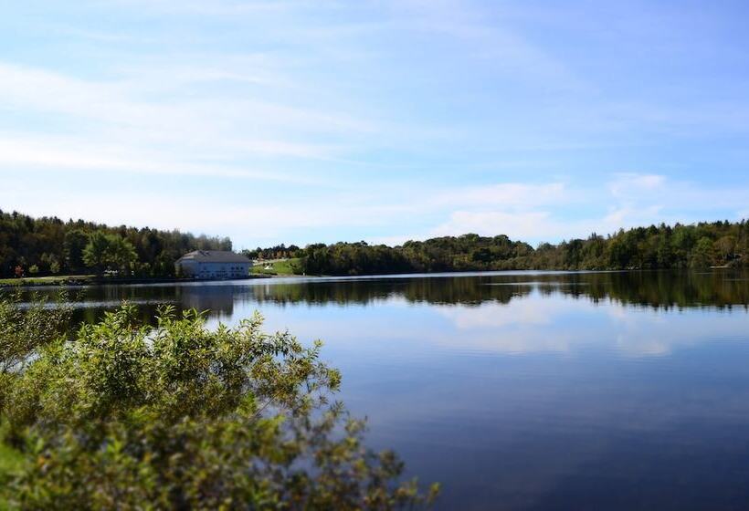 Best Western Plus Saint John Hotel & Suites