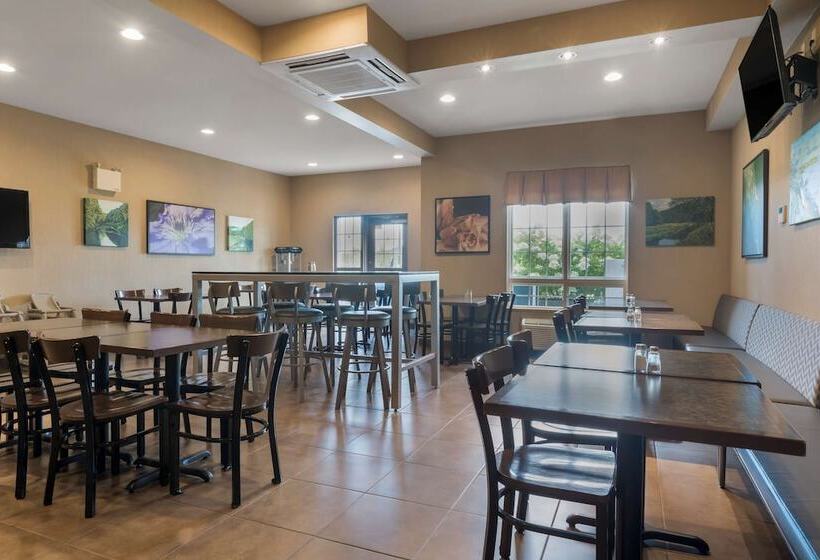 Best Western Plus Saint John Hotel & Suites