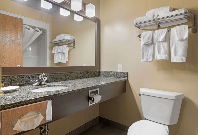 Best Western Plus Saint John Hotel & Suites