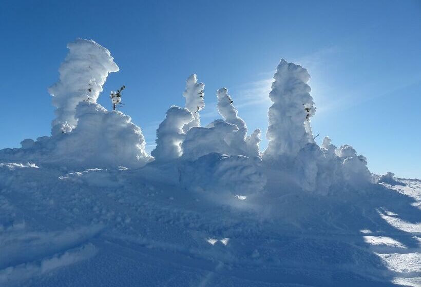 فندق Chateau Big White