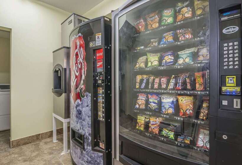 בית מלון כפרי Comfort Inn & Suites