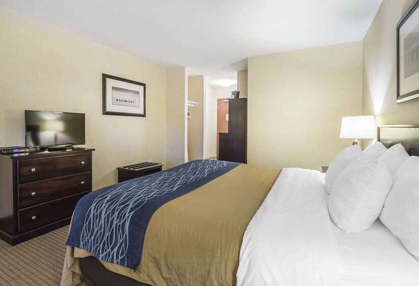 בית מלון כפרי Comfort Inn & Suites