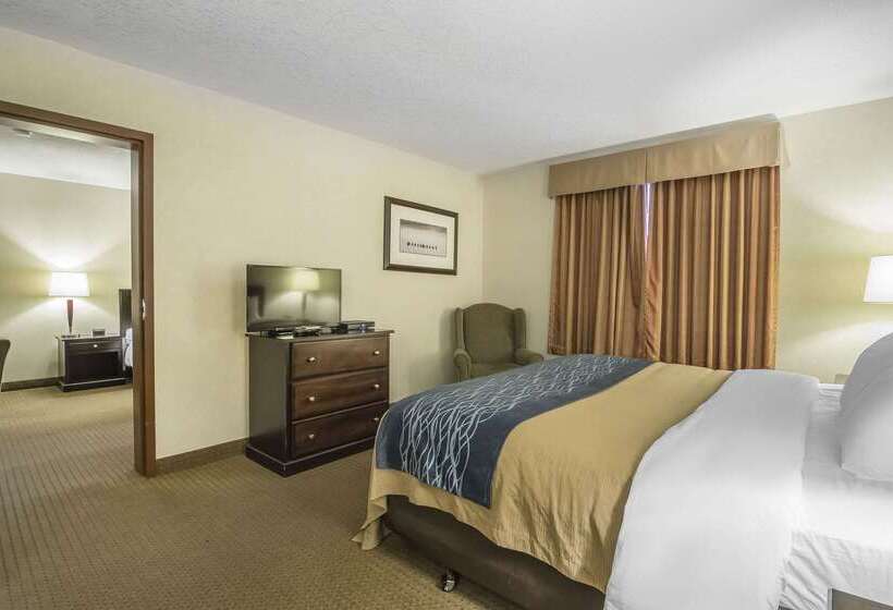 בית מלון כפרי Comfort Inn & Suites