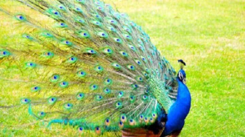 בית מלון כפרי Dongguan Mcb Lake