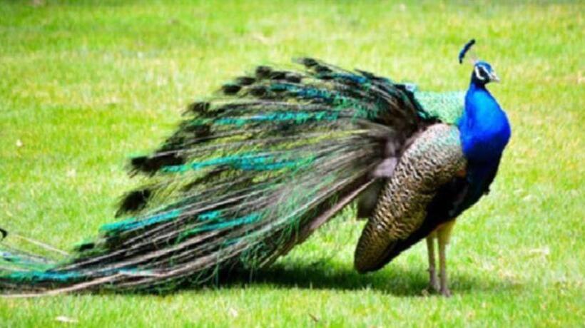 酒店 Dongguan Mcb Lake