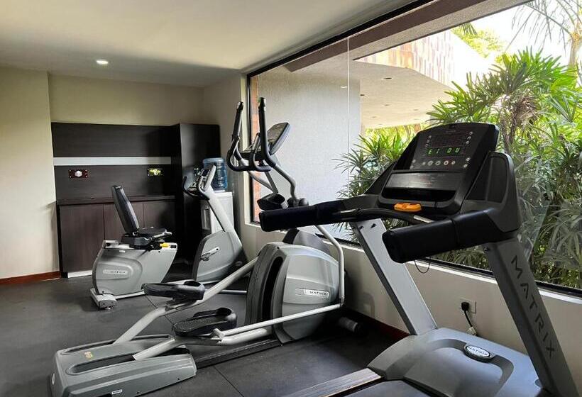 בית מלון כפרי Gh Guaparo Suites