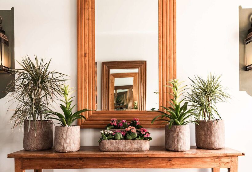 ホテル Hacienda del Conde Meliá Collection Golf & Spa