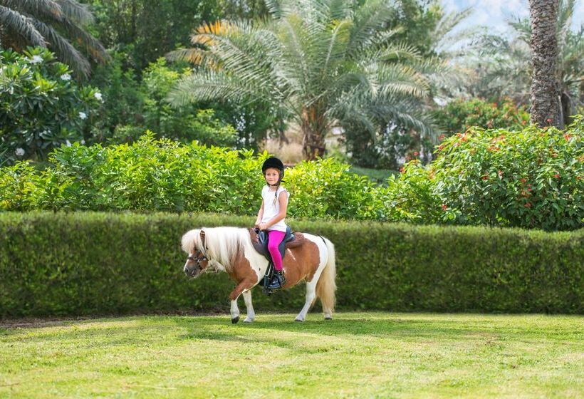 ホテル Ja The Resort   Ja Palm Tree Court, Dubai