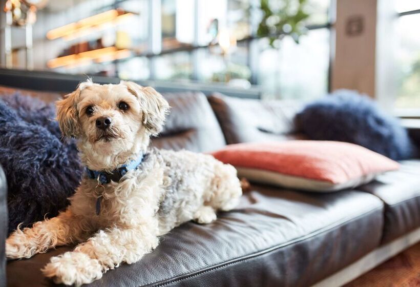 בית מלון כפרי Kabuki, Part Of Jdv By Hyatt