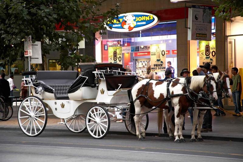 فندق Mercure Melbourne Therry Street