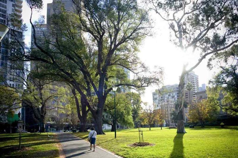 فندق Mercure Melbourne Therry Street