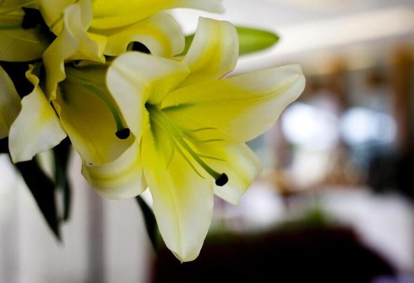 هتل Muong Thanh Holiday Da Lat