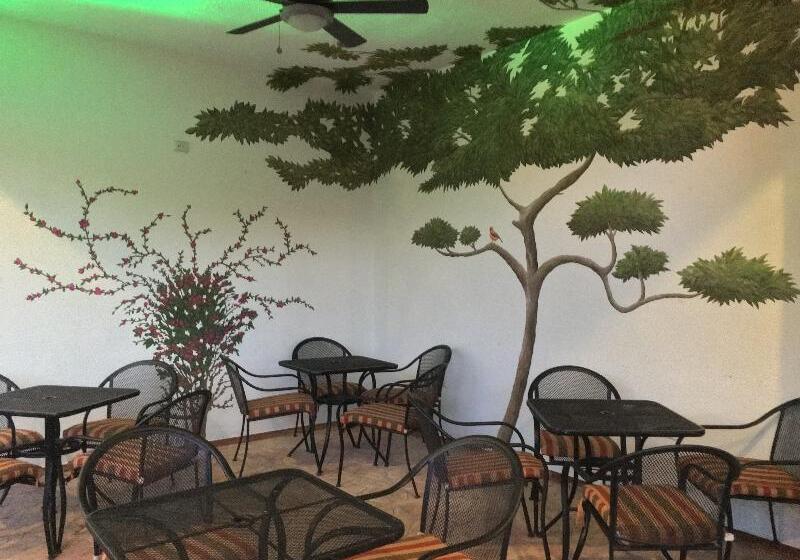 בית מלון כפרי Plaza Cozumel