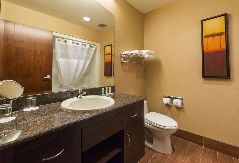 فندق Quality Inn & Suites