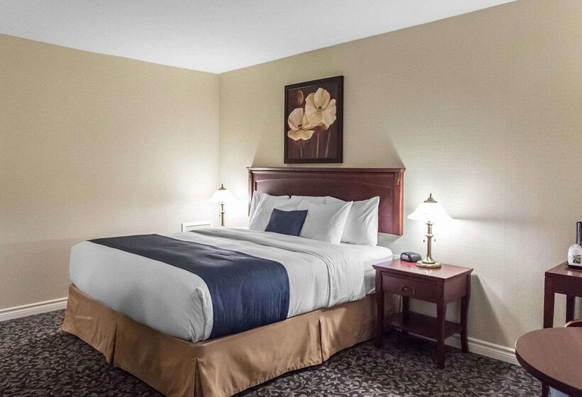 酒店 Quality Inn  Mont Laurier