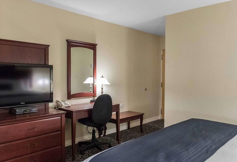酒店 Quality Inn  Mont Laurier
