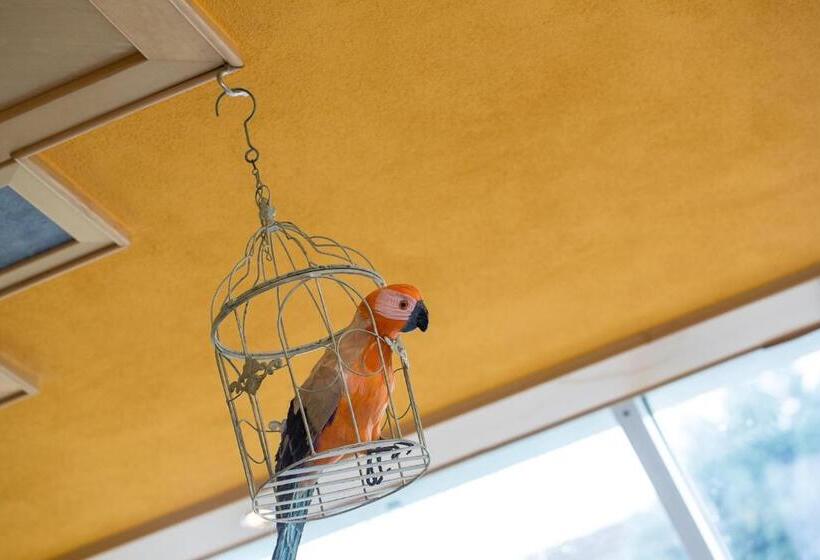 ホテル Rammersweier Hof