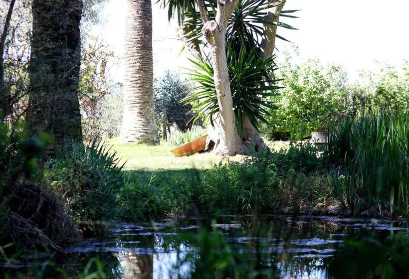 בית מלון כפרי Petit Hotel Es Figueral