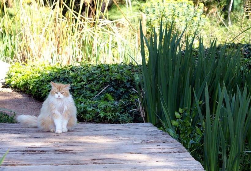 בית מלון כפרי Petit Hotel Es Figueral