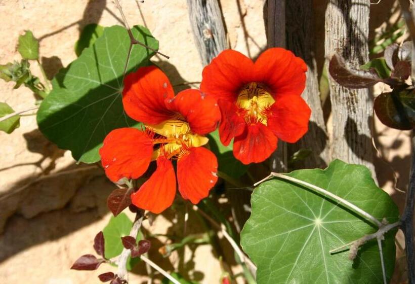 בית מלון כפרי Petit Hotel Es Figueral