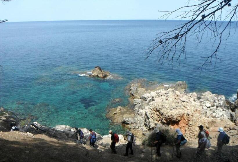 בית מלון כפרי Petit Hotel Es Figueral