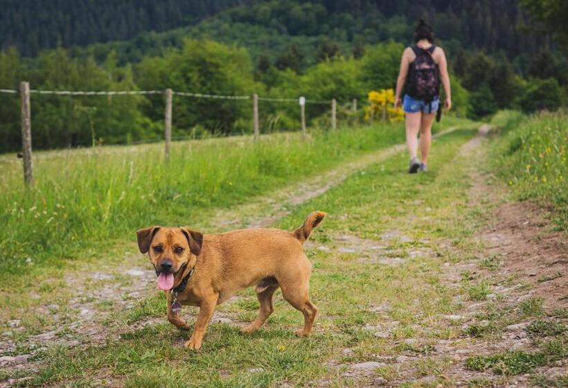 Hotel Schwarzwald Panorama