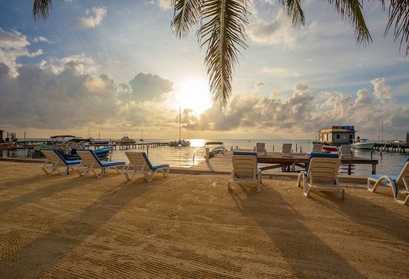 فندق Sunbreeze Suites