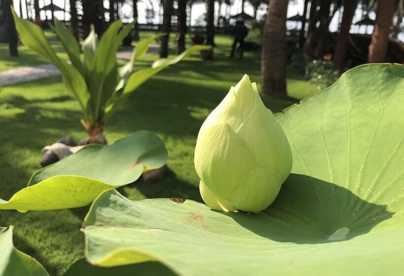 هتل Sunny Beach Resort & Spa