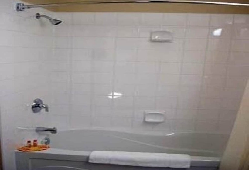 בית מלון כפרי Travel Inn & Suites Innisfail