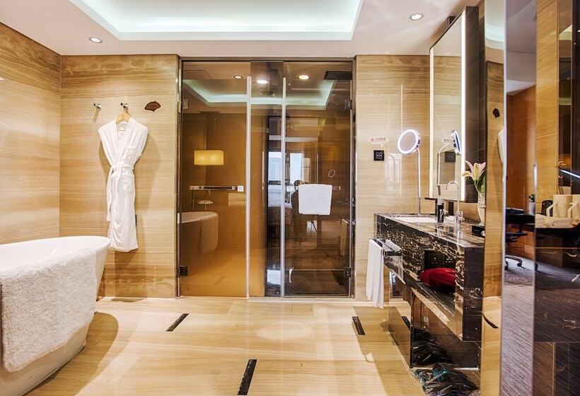 Отель Vaya International