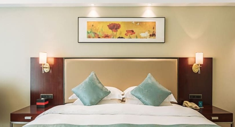 Отель Vaya International