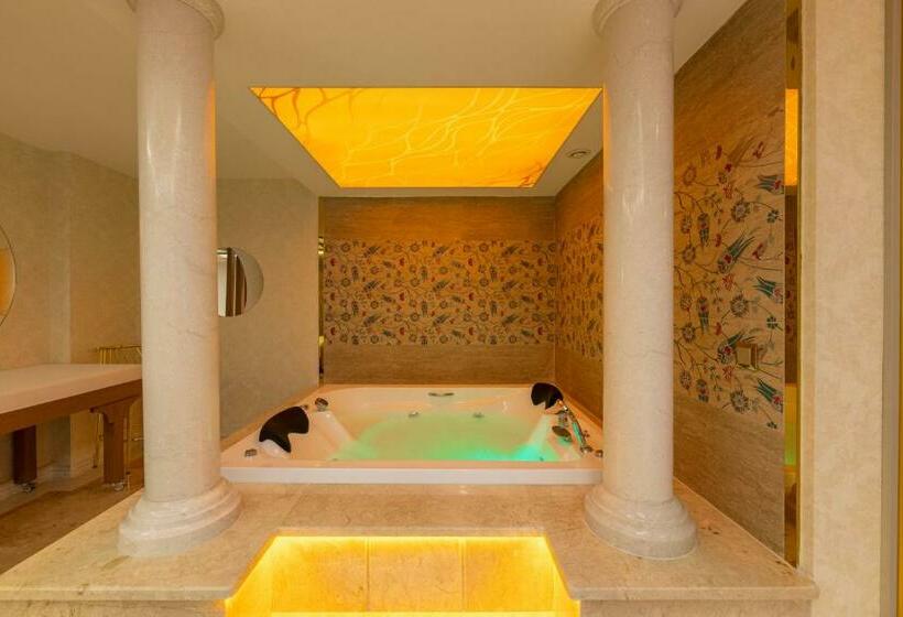 هتل Wyndham Istanbul Old City