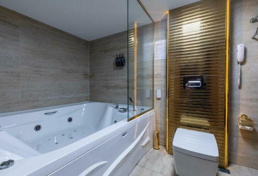 هتل Wyndham Istanbul Old City