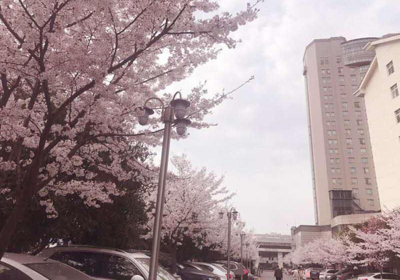 ホテル Xiongchu International