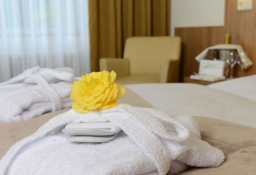 Ringhotel Haus Oberwinter