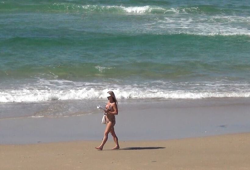 Trilogy Surfers Paradise