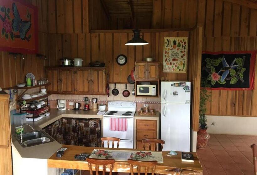 مبيت وإفطار Birds & Breakfast Costa Rica