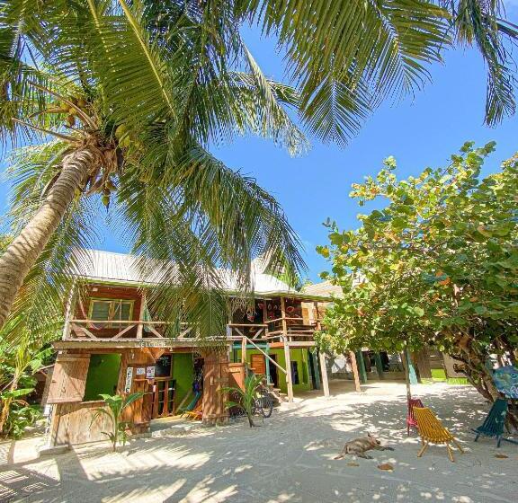 Bella S Backpackers Hostel